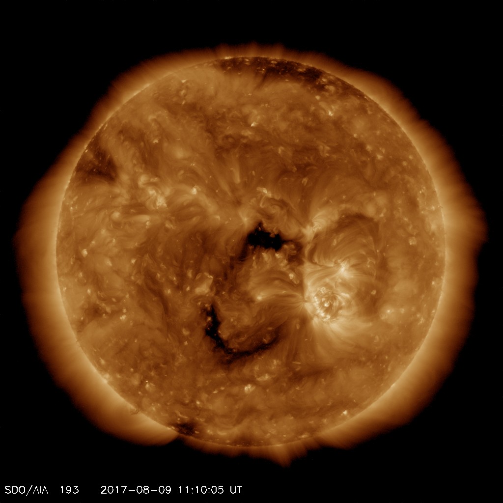 Coronal holes