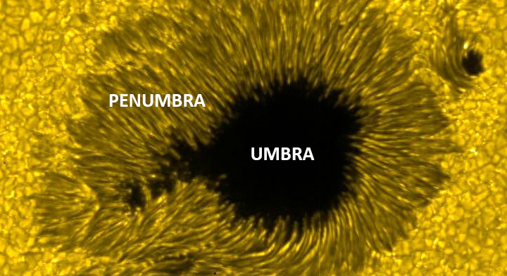 Sunspot umbra and penumbra