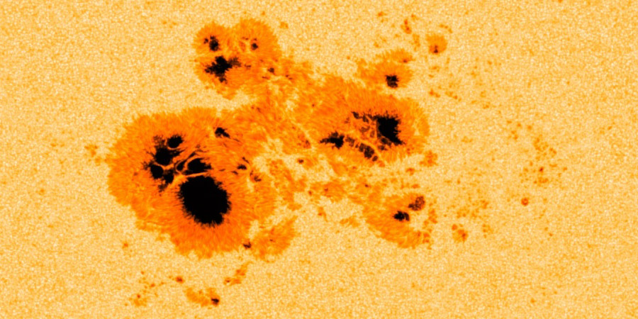 Gentle giant sunspot region 2192