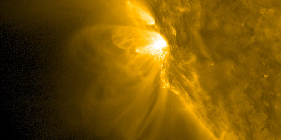 Sunspot region 2894