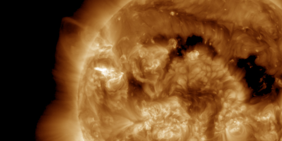 569-header.jpg